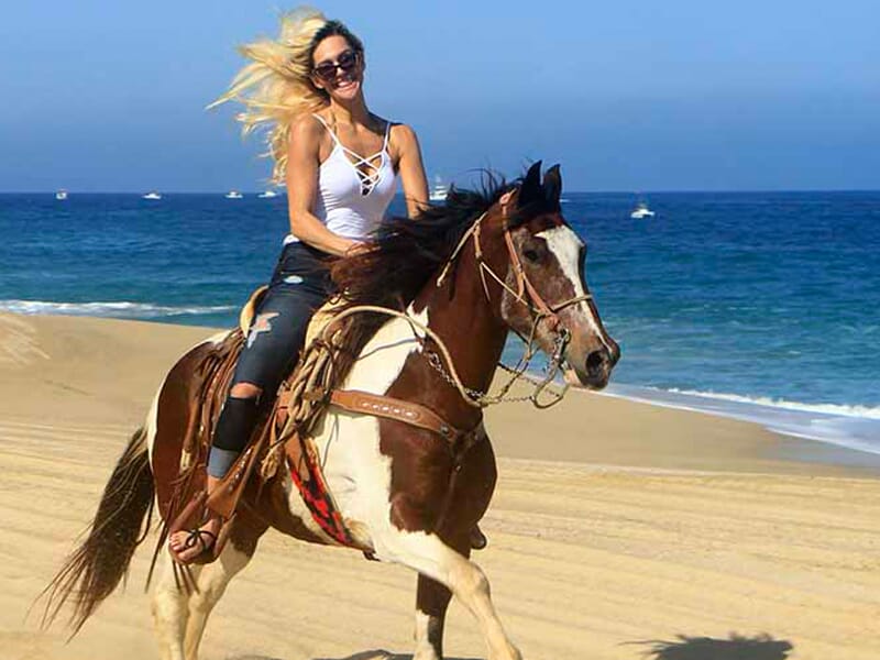 Beach And Desert Horseback Riding In Cabo San Lucas