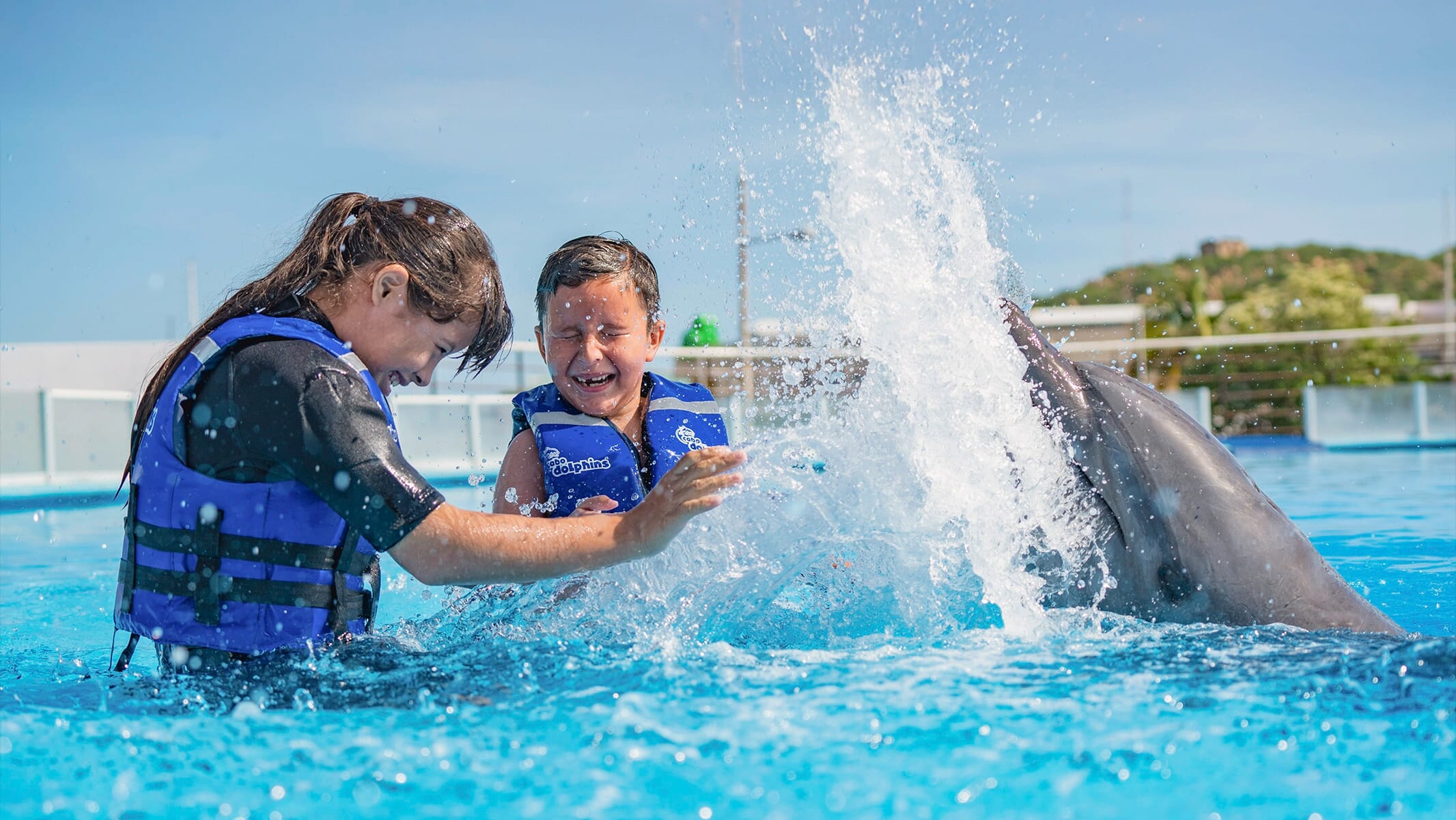 Cabo Dolphin Experience 03