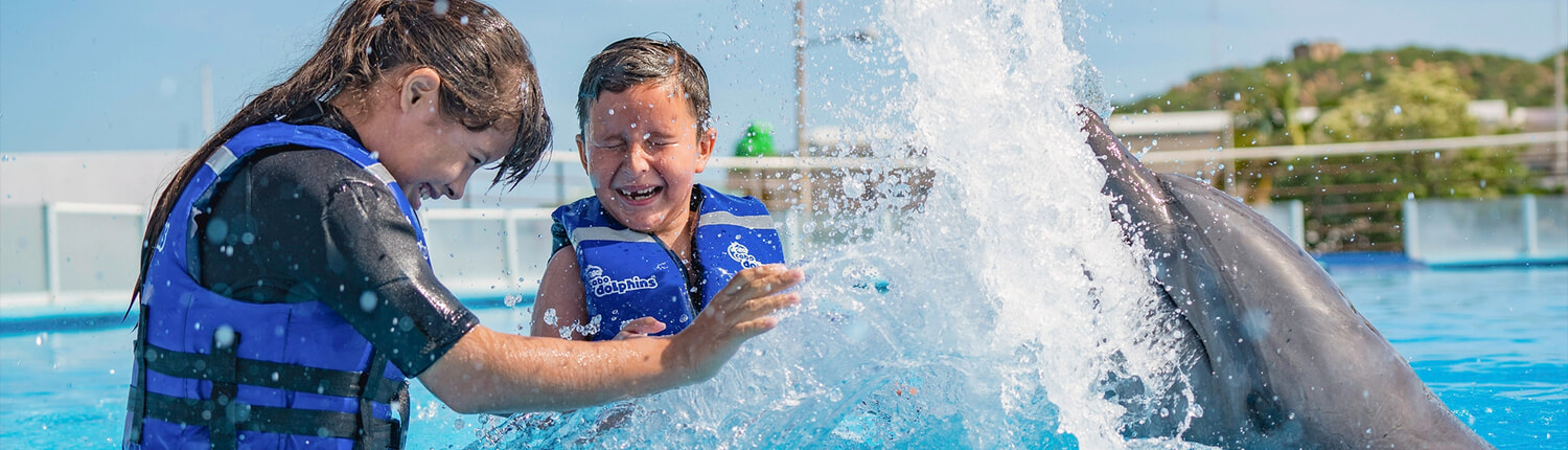 Cabo Dolphin Experience 03 Cabo Dolphin Experience 03