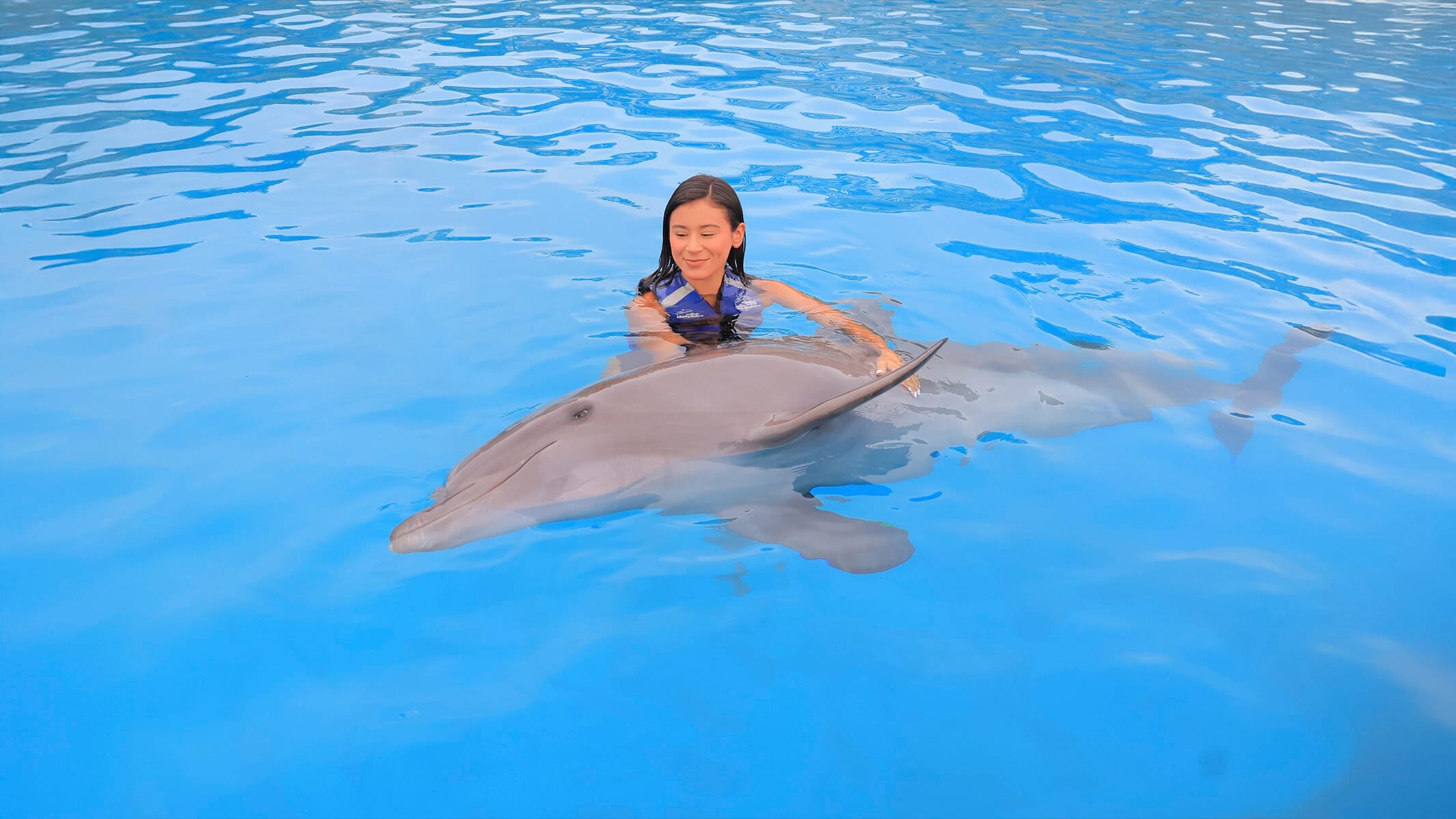 Cabo Dolphin Experience 05