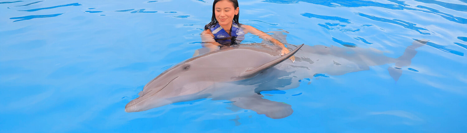 Cabo Dolphin Experience 05 Cabo Dolphin Experience 05