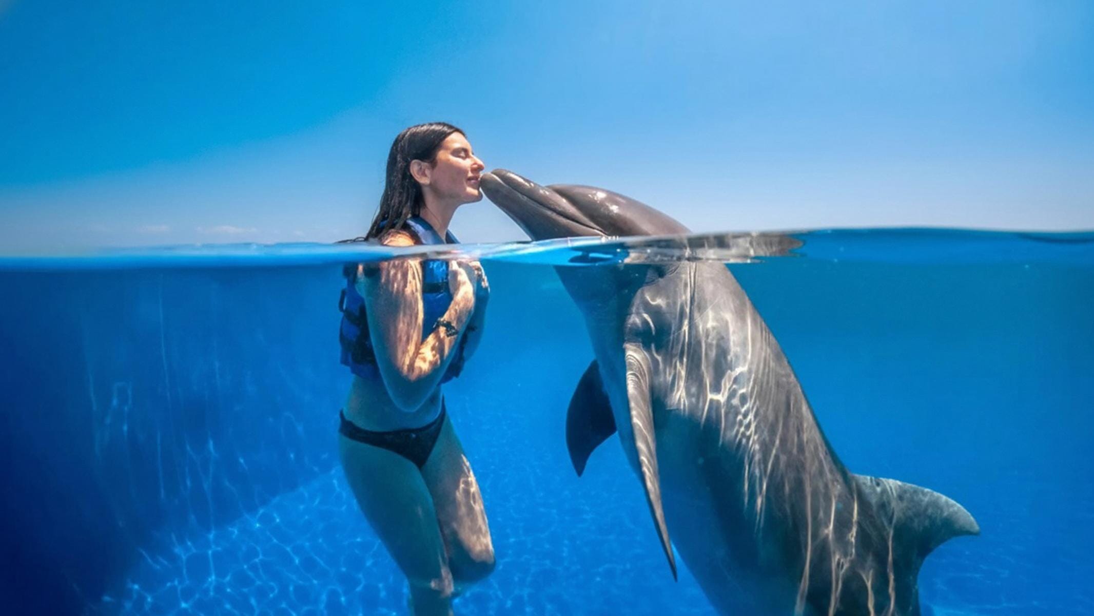 Dolphin Swim Whale Watching 03