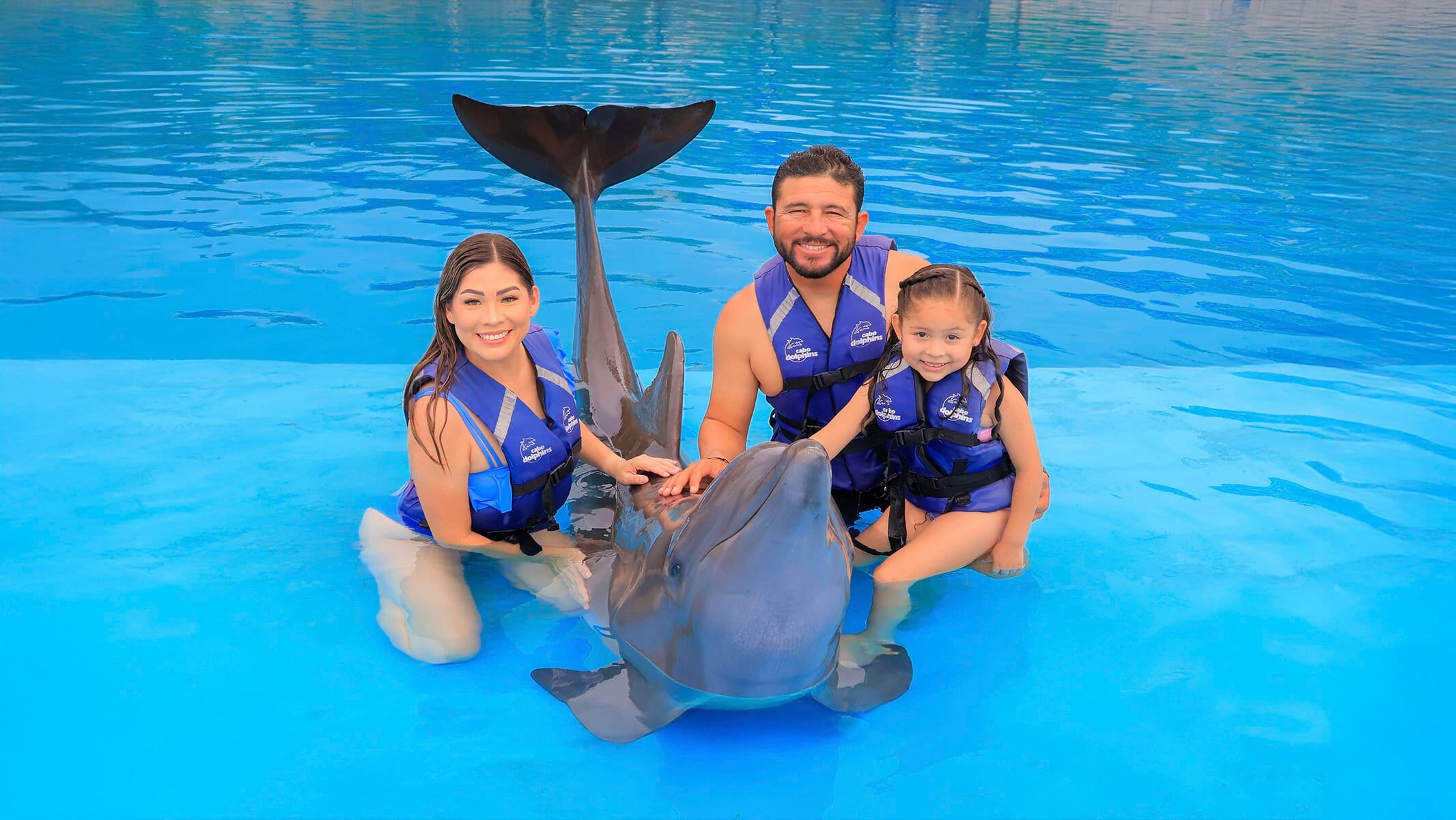Family Cabo Dolphin Encounter 01
