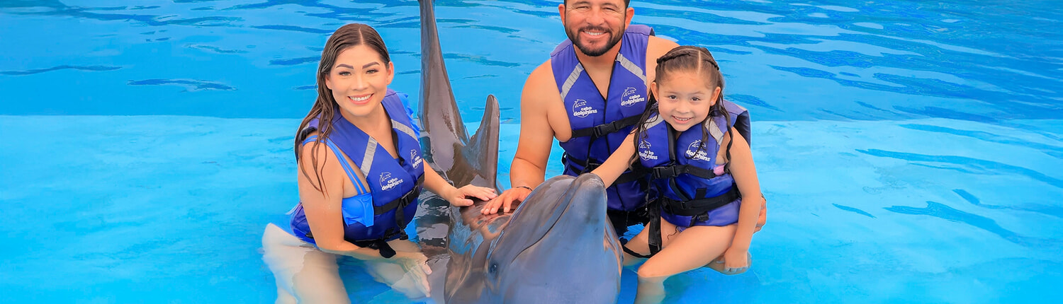 Family Cabo Dolphin Encounter 01 Family Cabo Dolphin Encounter 01
