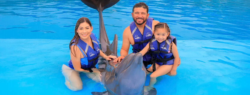 Family Cabo Dolphin Encounter 01 Family Cabo Dolphin Encounter 01