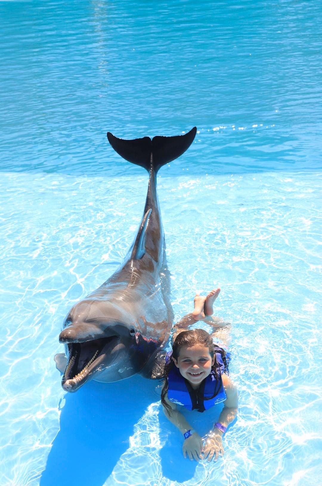 Family Cabo Dolphin Encounter 04