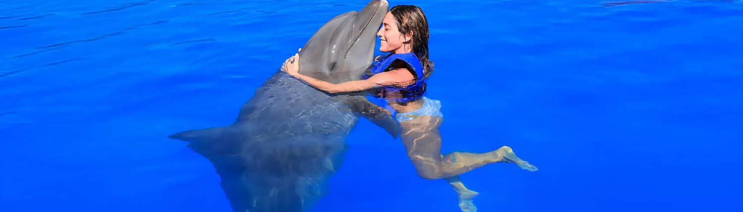 Premium Cabo Swim with Dolphins 01 Premium Cabo Swim with Dolphins 01