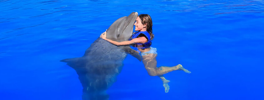 Premium Cabo Swim with Dolphins 01 Premium Cabo Swim with Dolphins 01