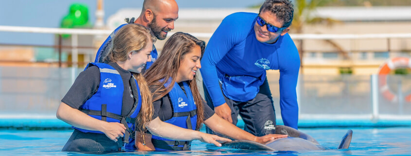 Premium Cabo Swim with Dolphins 03 Premium Cabo Swim with Dolphins 03