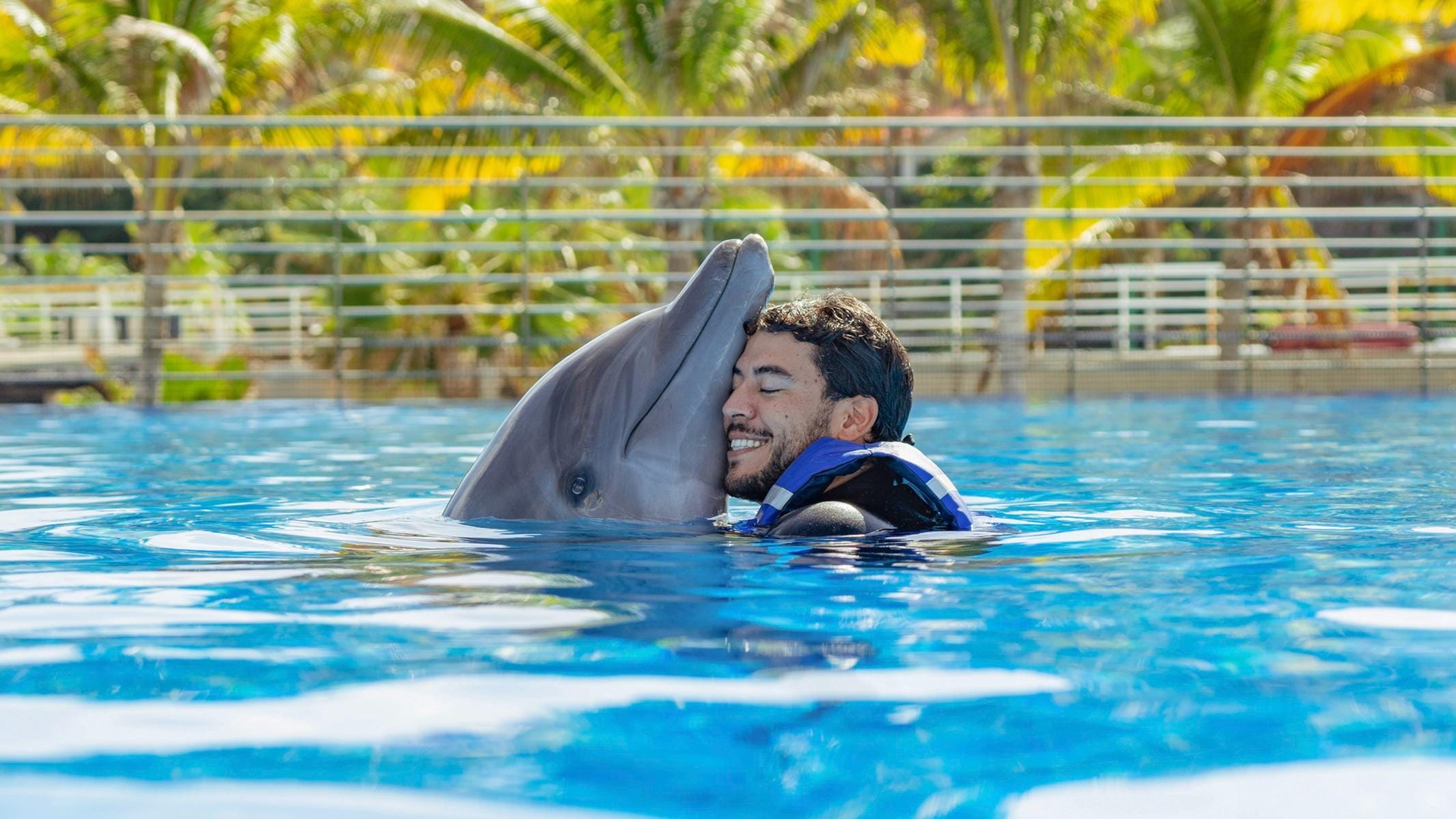 Premium Cabo Swim with Dolphins 05