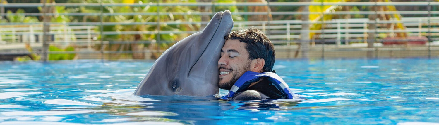 Premium Cabo Swim with Dolphins 05 Premium Cabo Swim with Dolphins 05