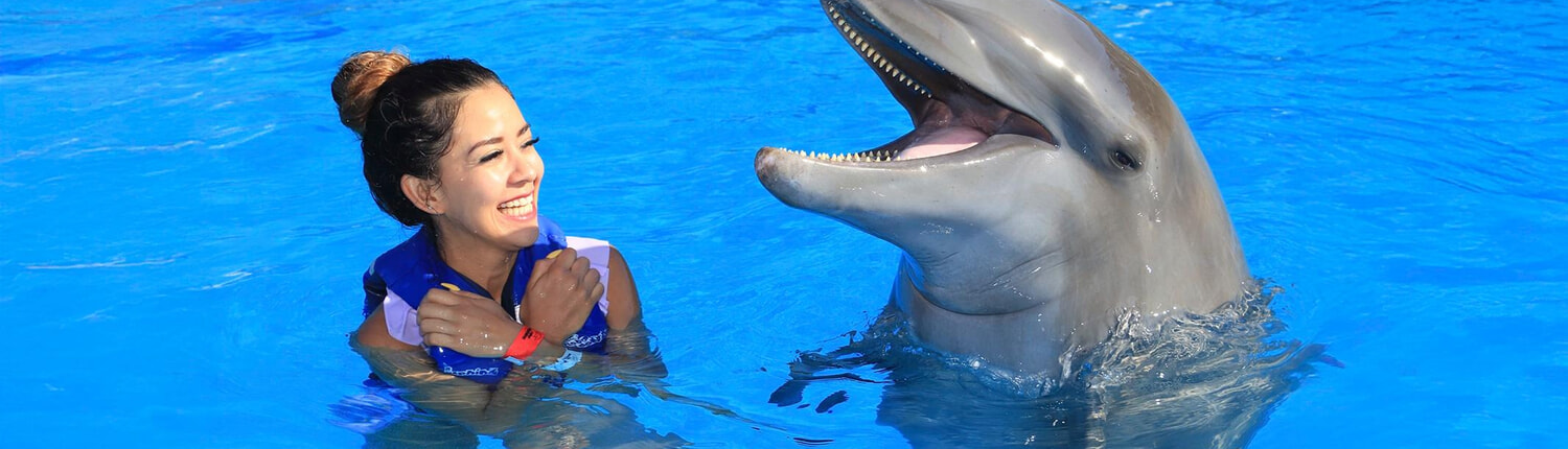 Signature Cabo Dolphin Swim 01 Signature Cabo Dolphin Swim 01