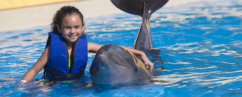 swimming with dolphins kids