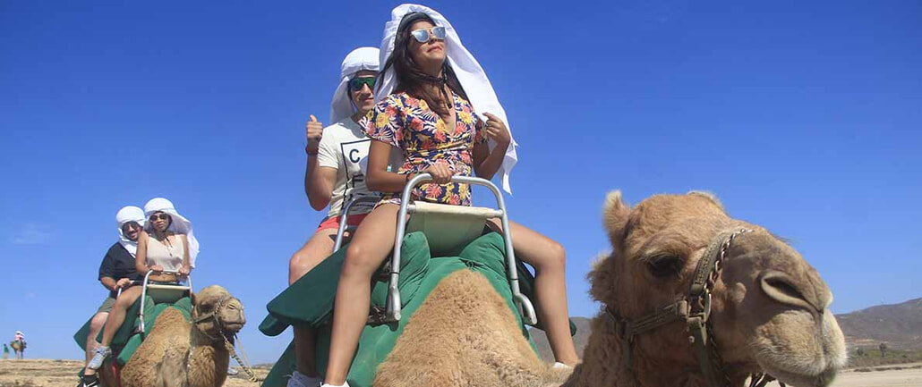 cactus camel ride 08