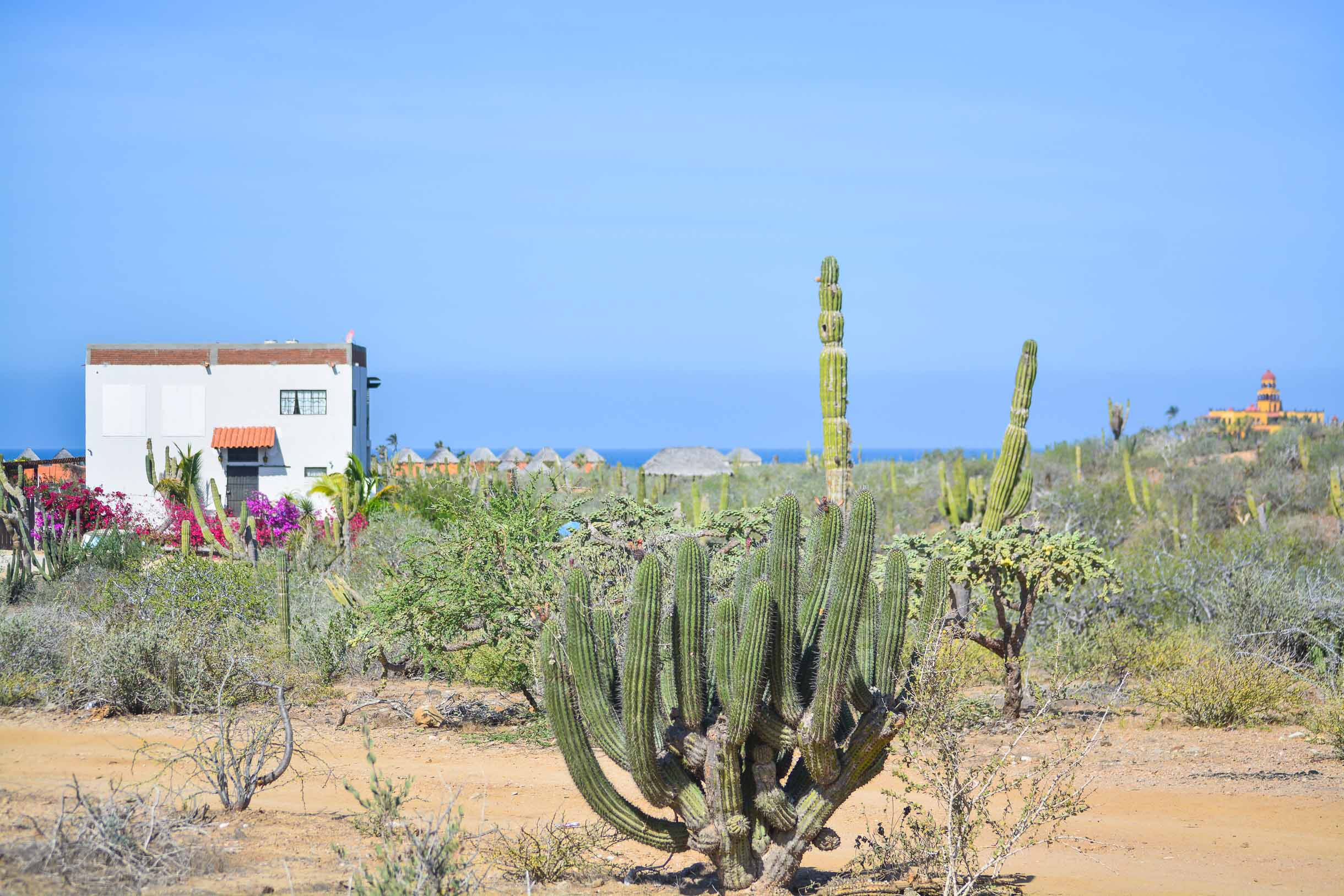 todos santos 01 todos santos 01