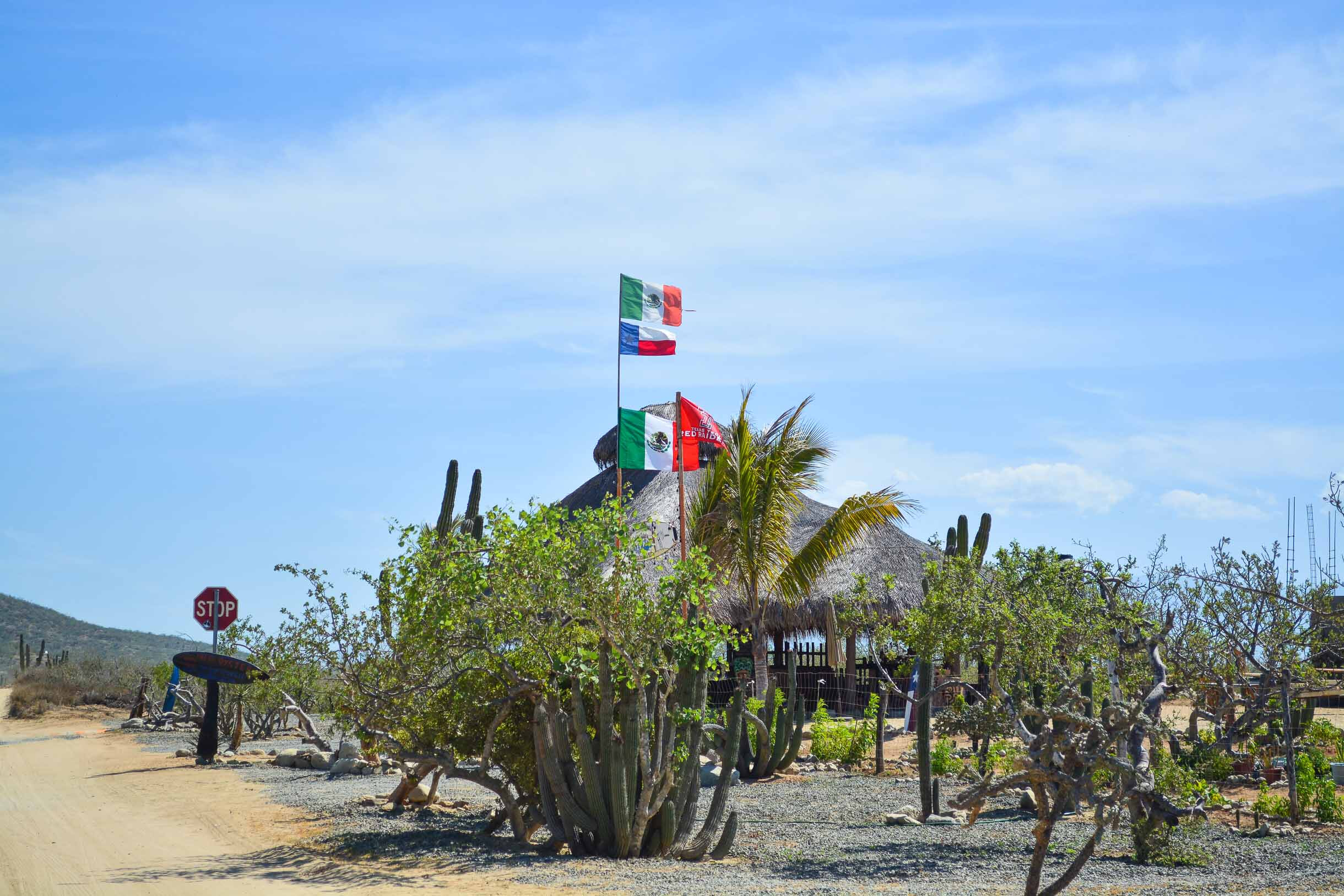 todos santos 08 todos santos 08