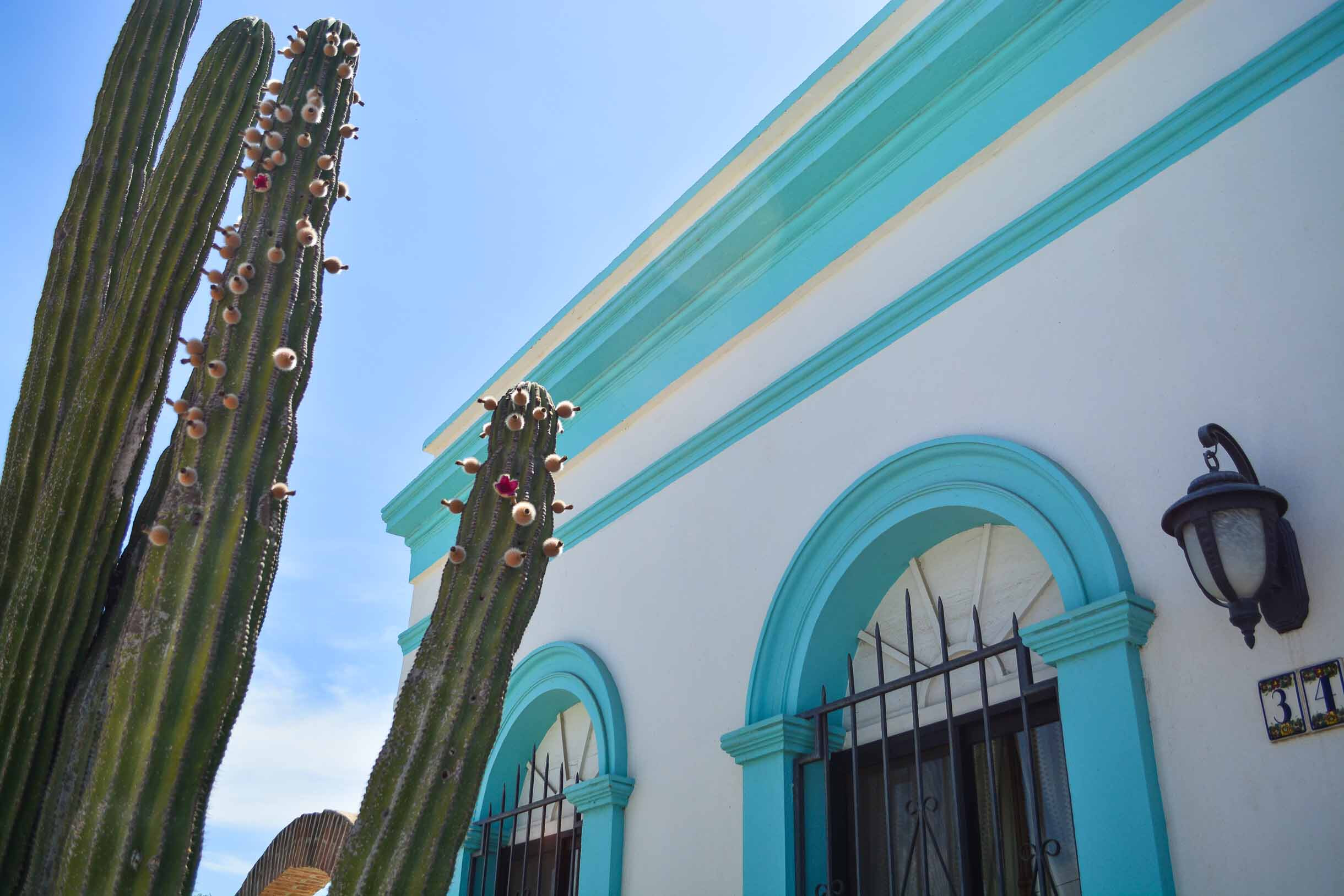 todos santos 21 todos santos 21