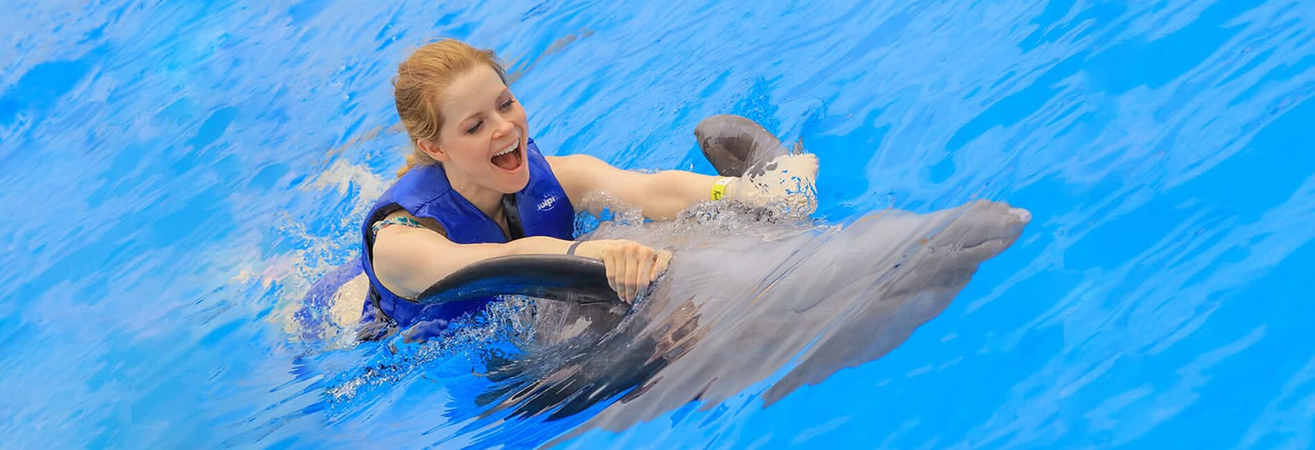 homepage slider dolphins