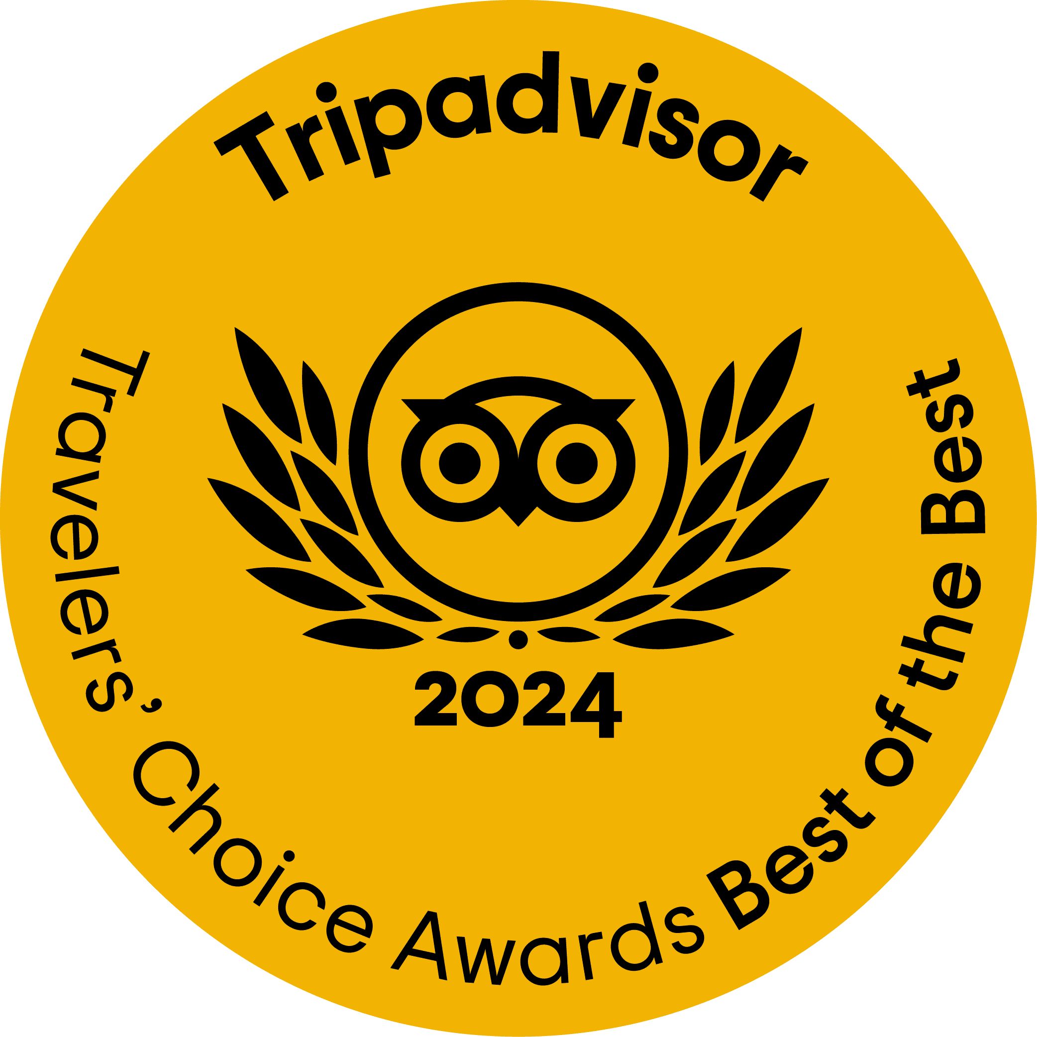 trip advisor award 2024