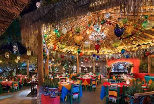 ediths cabo ediths cabo