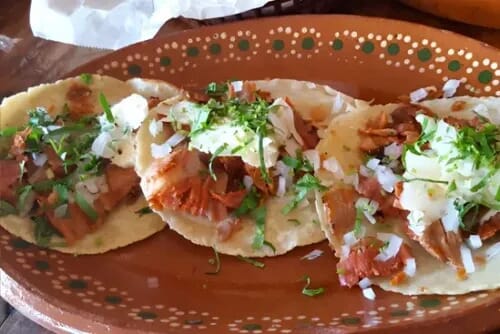 las guacamayas